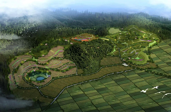 使命在肩 奮斗有我—公司中標  多項目 賦能區域生態發展